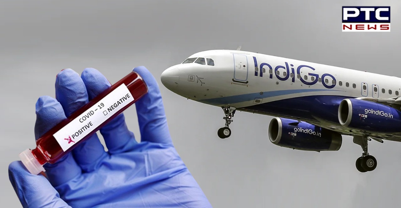 Chaos on IndiGo flight after passenger claims of being Covid-19 positive