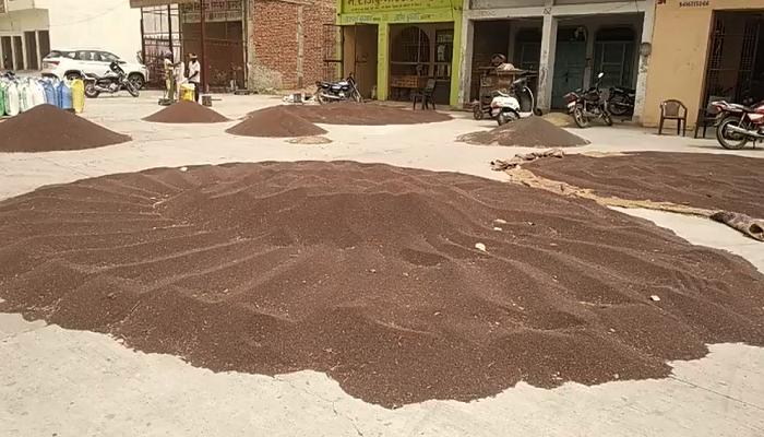 Crop Procurement Haryana