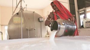 Punjab Budget 2021 : Private Milk Plant Issue in Punjab Vidhan Sabha