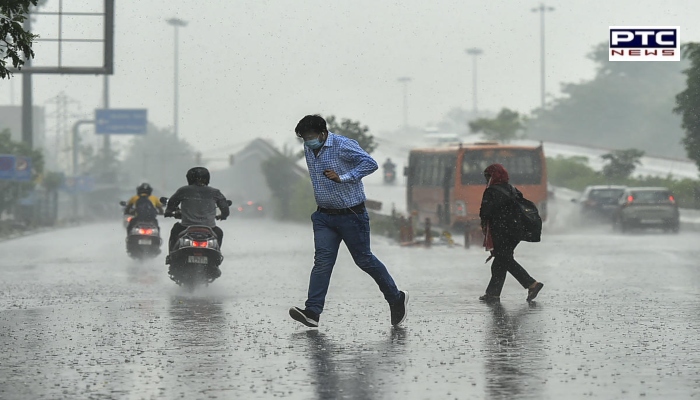 Rain in Punjab ।  Heavy damage to rabi crops after rainfall in Punjab, Haryana