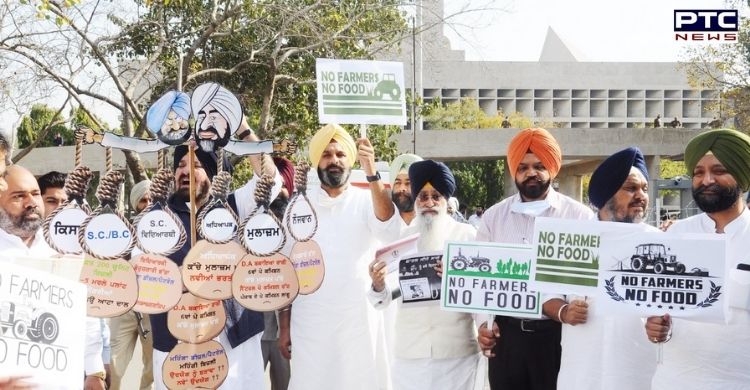 Punjab Budget Session 2021: SAD burns copies of Budget outside Vidhan Sabha