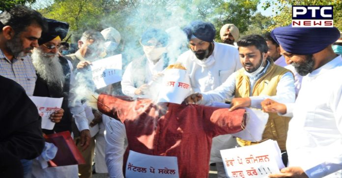 Punjab Budget Session 2021: SAD burns effigy of Punjab govt outside Vidhan Sabha Punjab Budget Session 2021: SAD burns effigy of Punjab govt outside Vidhan Sabha