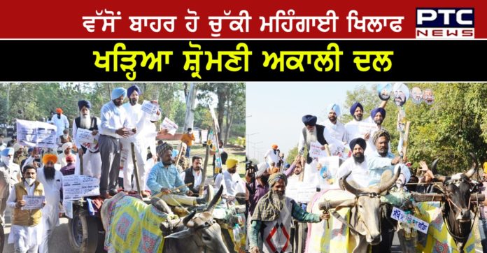 majithia