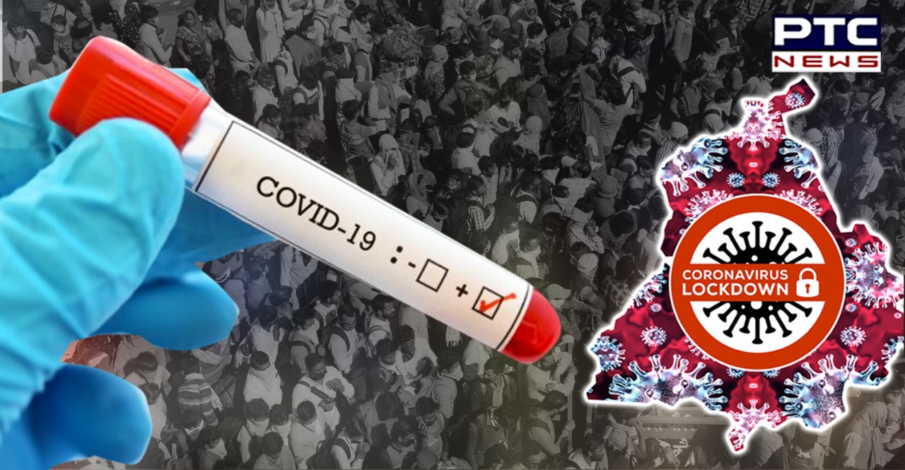 Coronavirus: Punjab continues to witness decline in new COVID-19 cases in 24 hours