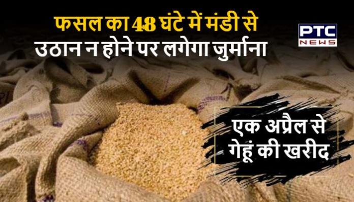 Wheat Procurement Haryana Penalty for not lifting the crop from market in 48 hours Haryana Wheat Procurement