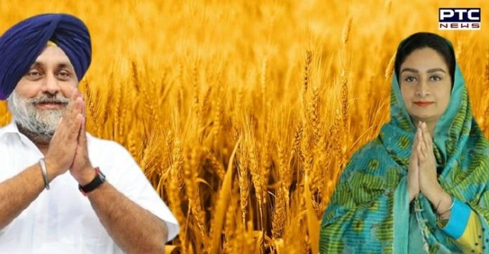 Sukhbir Singh Badal, Harsimrat Kaur extend wishes on Khalsa Sajna Diwas and Baisakhi Sukhbir Singh Badal, Harsimrat Kaur extend wishes on Khalsa Sajna Diwas and Baisakhi