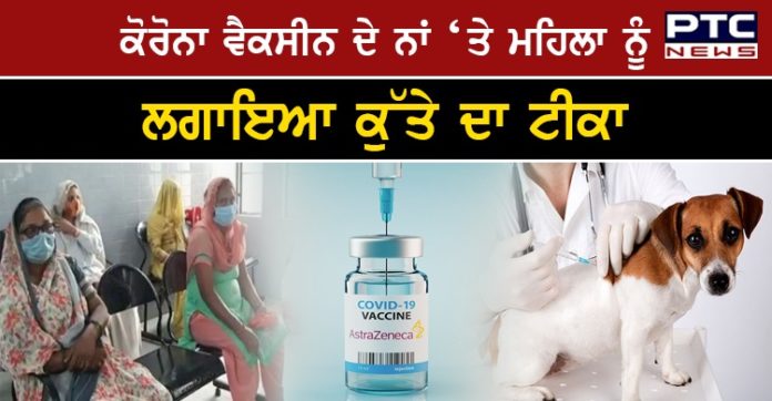 Coronavirus Vaccinations 1 Uttar pradesh : old women given anti rabies doj during corona vaccination in shamli upns