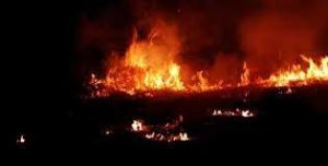 Six members of family die in gas cylinder explosion in Delhi