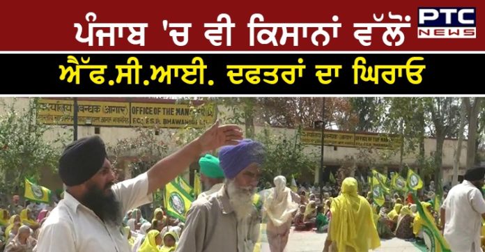 Farmers Protest 1 FCI Bachao Divas । Farmers Protest outside FCI offices on today in Punjab