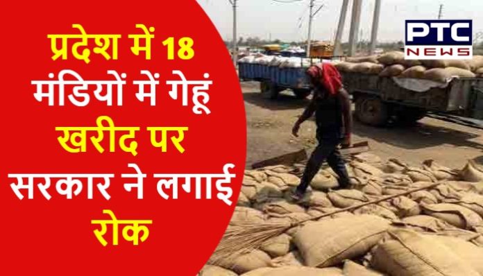 Government stops wheat procurement in 18 mandis in the state Wheat procurement Haryana