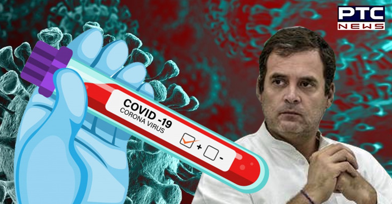 Congress leader Rahul Gandhi tests positive for coronavirus