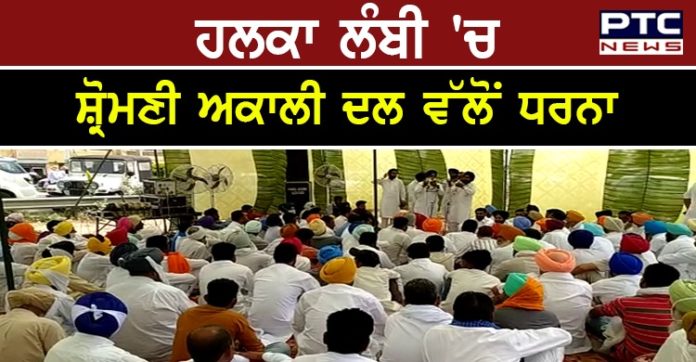 SAD's protests 1 SAD protests against punjab congress Government and AAP