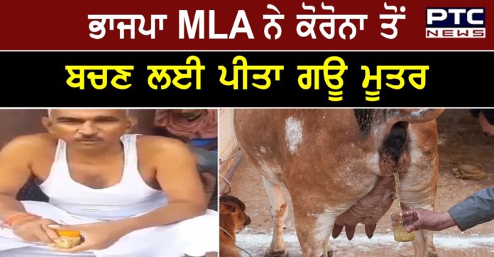 BJP MLA Surendra Singh 1 BJP MLA Surendra Singh gives a demonstration of drinking cow urine to keep away COVID-19