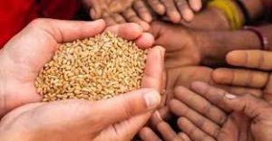 Central government free ration for 2 months if the dealer refuses then complain here