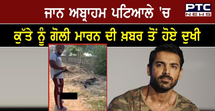 John Abraham 1 John Abraham Expresses Angst After Man Kills Stray Dog With Rifle