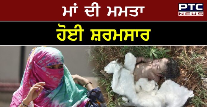 newborn baby 1 Amritsar ch newborn baby nu sdk kinare sut ke ma hoyi frar