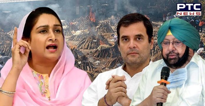 Has Punjab CM taken single step to mitigate coronavirus crisis? asks Harsimrat Kaur Badal Has Punjab CM taken single step to mitigate coronavirus crisis? asks Harsimrat Kaur Badal