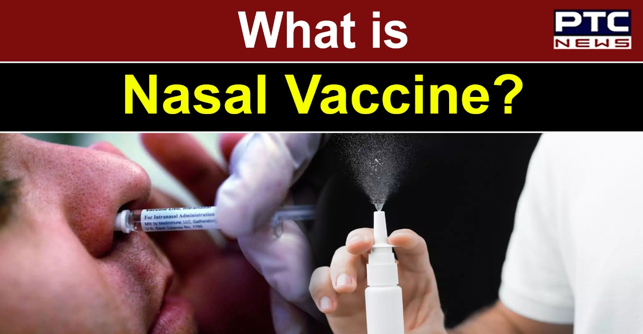 What is Nasal Vaccine? How is it different from existing COVID-19 Vaccines?