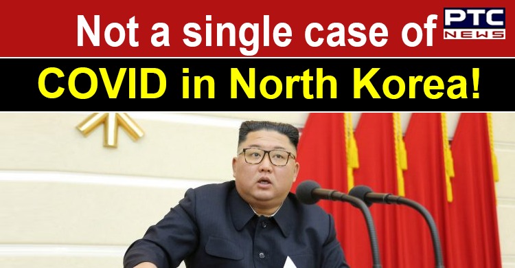 'Yet to find a single case of coronavirus': North Korea to WHO