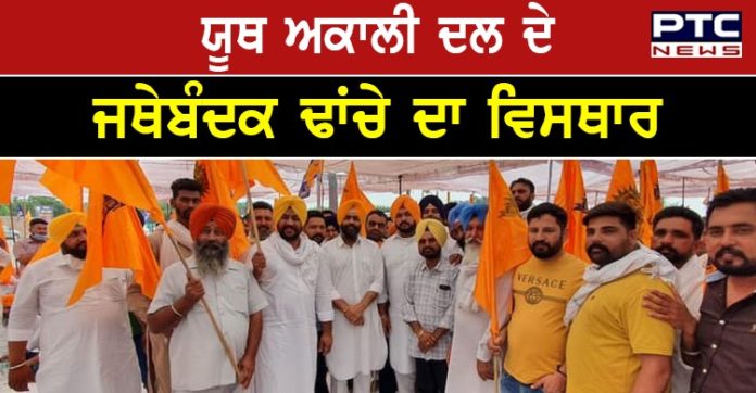 Youth Akali Dal 1