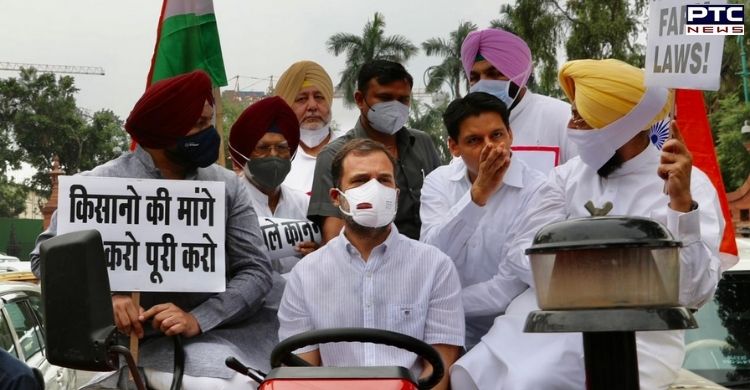 Rahul Gandhi drives tractor to Parliament, Congress workers detained