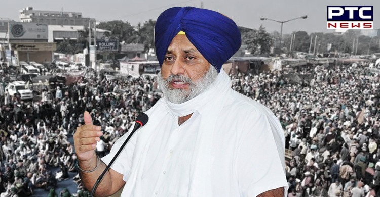 Sukbhir Singh Badal takes dig over fresh turmoil in Punjab Congress, targets CM