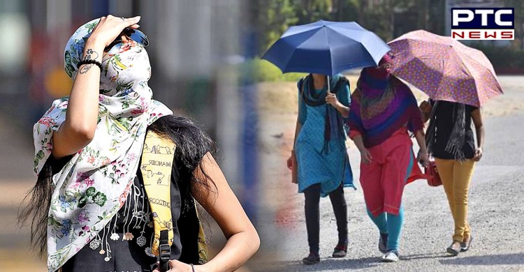 Expect severe heatwave in Punjab, Chandigarh, Delhi, Haryana for next few days: IMD