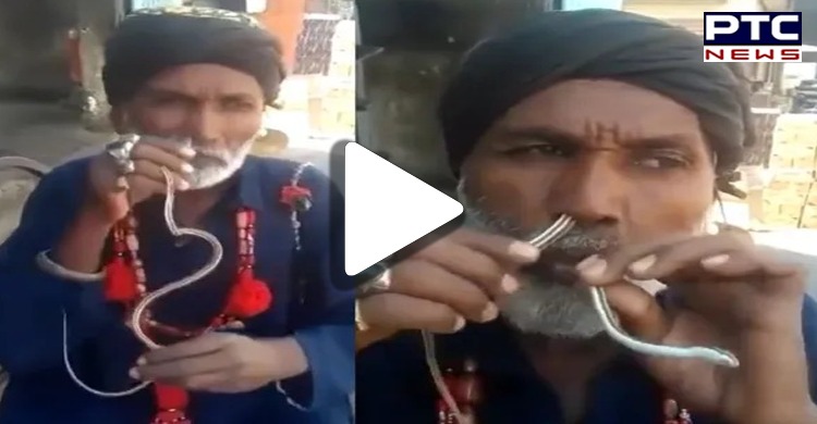 Watch: Man inserts snake into nose, takes it out of mouth