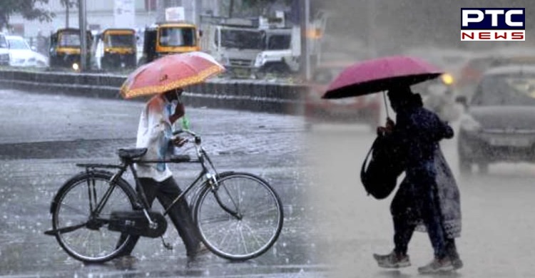 Punjab, Haryana, and Delhi likely to see monsoon rain in next 24 hours