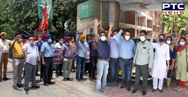 Government doctors in Punjab to observe a week-long strike, details inside