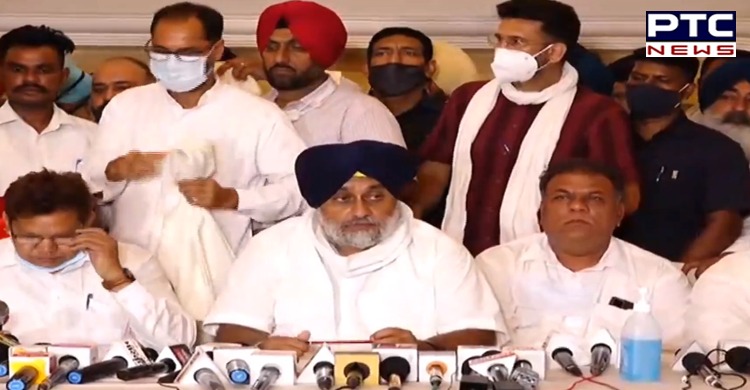 Punjab: Democratic Party of India announces full support to SAD-BSP alliance