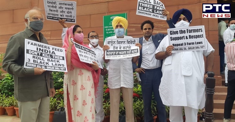 SAD-BSP MPs continue to protest against farm laws outside Parliament