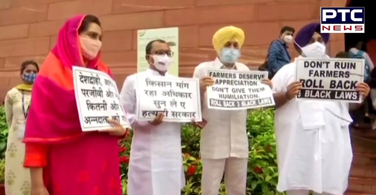 SAD-BSP MPs protest outside Parliament, chant ‘Kale kanoon wapis lo'