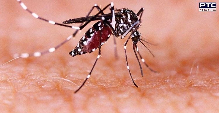 Kerala reports first case of Zika virus; here's all about mosquito-borne disease