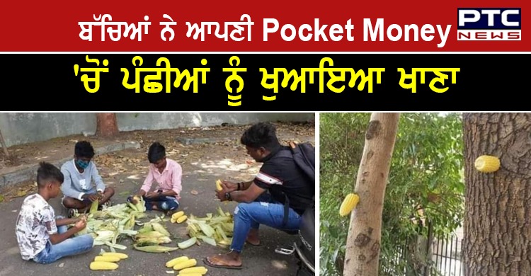 ਬੱਚਿਆਂ ਨੇ ਆਪਣੀਆਂ ਜੇਬਾਂ 'ਚੋਂ ਮੱਕੀ ਖਰੀਦ ਕੇ ਪੰਛੀਆਂ ਨੂੰ ਖੁਆਇਆ ਖਾਣਾ , ਲੋਕਾਂ ਨੇ ਕੀਤੀ ਤਾਰੀਫ਼