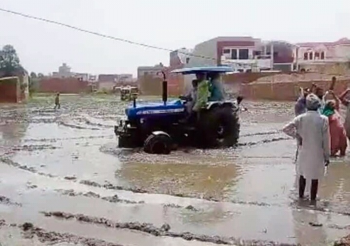 ਕਿਸਾਨਾਂ ਨੇ ਭਾਜਪਾ ਆਗੂ ਹਰਜੀਤ ਗਰੇਵਾਲ ਦੀ ਜ਼ਮੀਨ 'ਚ ਲੱਗਾ ਝੋਨਾ ਵਾਹਿਆ