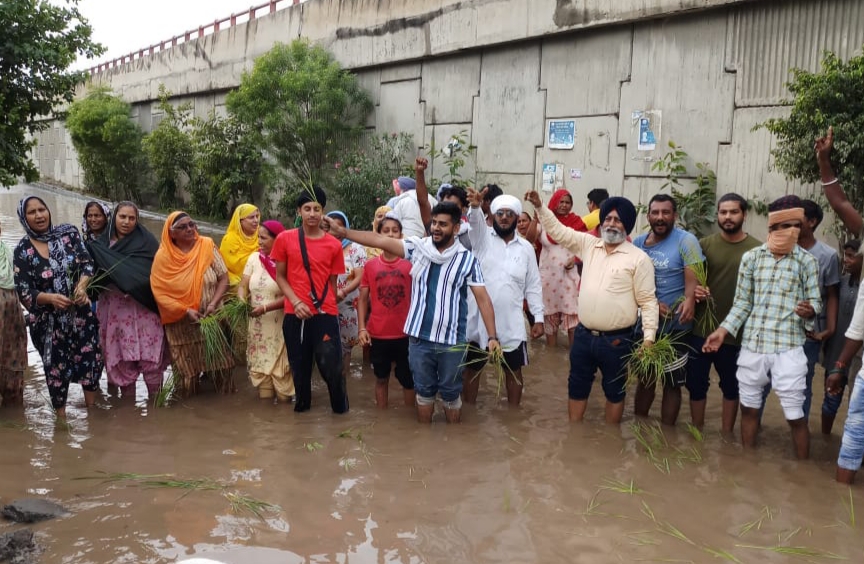ਮਾਨਸੂਨ ਦੀ ਪਹਿਲੀ ਮੁਸਲਾਧਾਰ ਬਰਸਾਤ ਨੇ ਕੱਢੀ ਨਗਰ ਨਿਗਮ ਦੇ ਦਾਅਵਿਆਂ ਦੀ ਫੂਕ, ਗੁਰੂ ਨਗਰੀ 'ਚ ਖੜਾ ਹੋਇਆ ਗੋਡੇ-ਗੋਡੇ ਪਾਣੀ