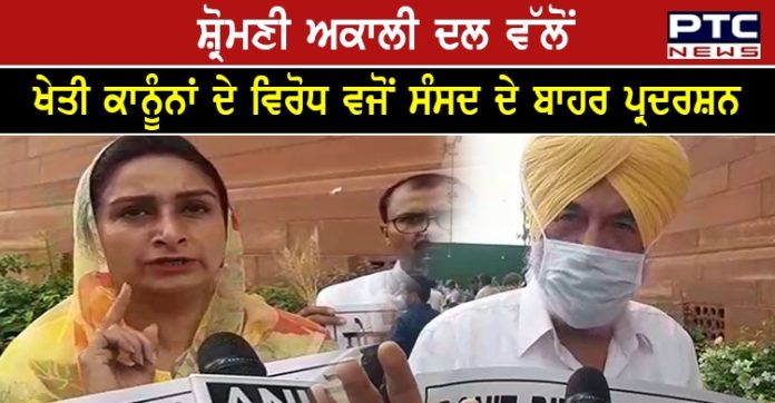 SAD and BSP protest 1