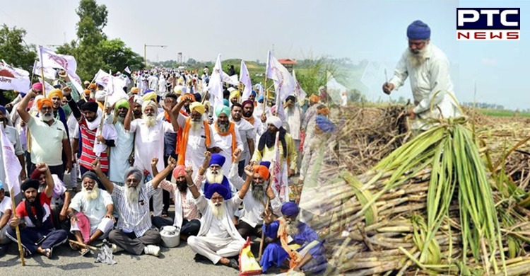 Punjab sugarcane growers to hold indefinite protest in front of Jalandhar Cantt railway station
