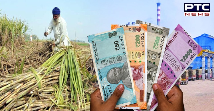 Union Govt okays FRP of sugarcane at Rs 290 per quintal