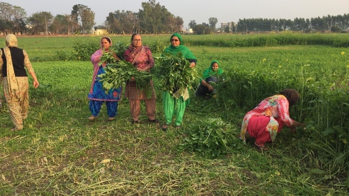 SDGs India index-2020-21: Punjab ranks No. 1 among states, says Chief Secretary Vini Mahajan