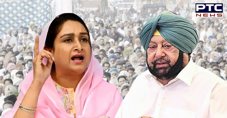 Captain Amarinder is BJP's 'swatantar fauji' in Congress, says Harsimrat Kaur Badal