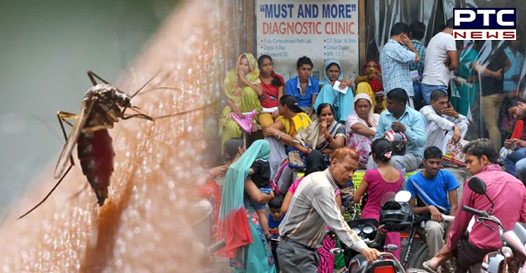 Delhi witnesses rise in dengue cases; 149 test positive in September