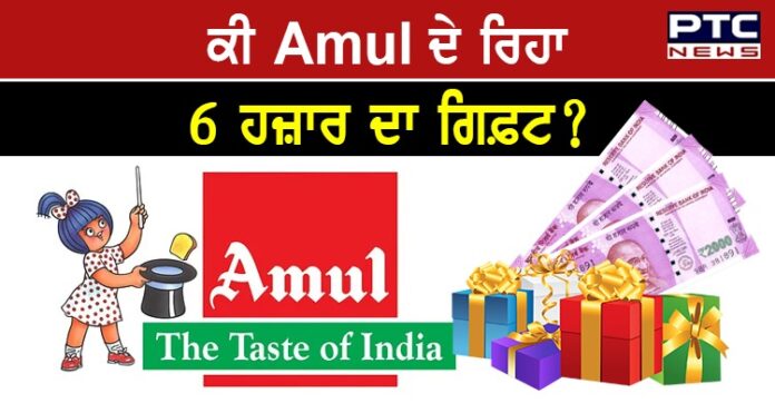Amul anniversary gift 1