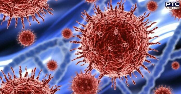 Coronavirus update: India reports 10,488 new Covid-19 cases in last 24 hours Coronavirus update: India reports 10,488 new Covid-19 cases in last 24 hours