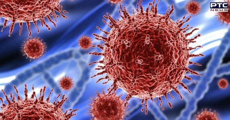 Coronavirus update: India reports 10,488 new Covid-19 cases in last 24 hours
