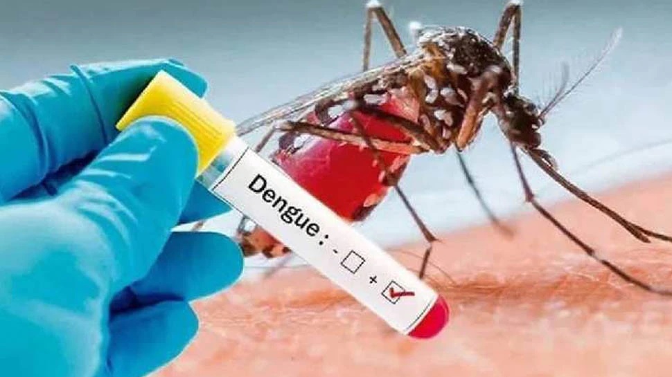 कोरोना के बाद डेंगू का बढ़ा आतंक, रोजाना बढ़ रही मरीजों की संख्या
