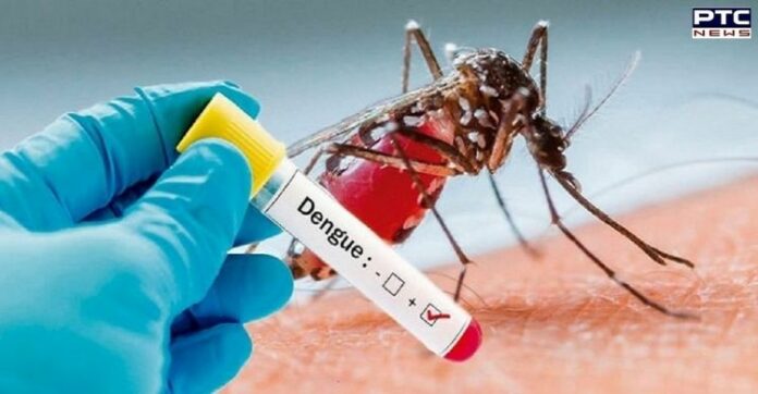 Dengue: Center rushes high-level teams to nine States/UTs including Punjab Dengue: Center rushes high-level teams to nine States/UTs including Punjab