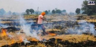 Paddy residue burning reduced in Punjab, Haryana, UP: Centre