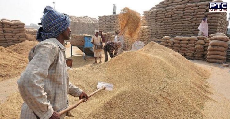 Paddy procurement begins in Punjab and Haryana